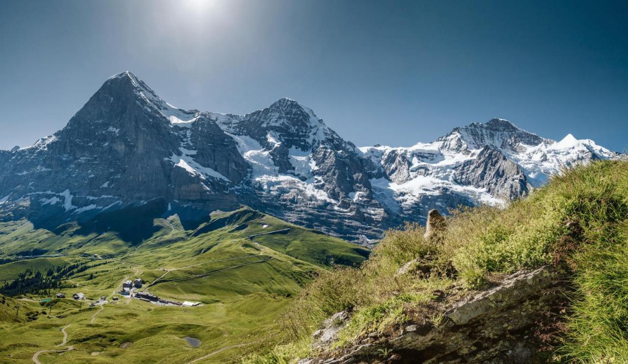 Aparthotel & Silberhorn Wengen