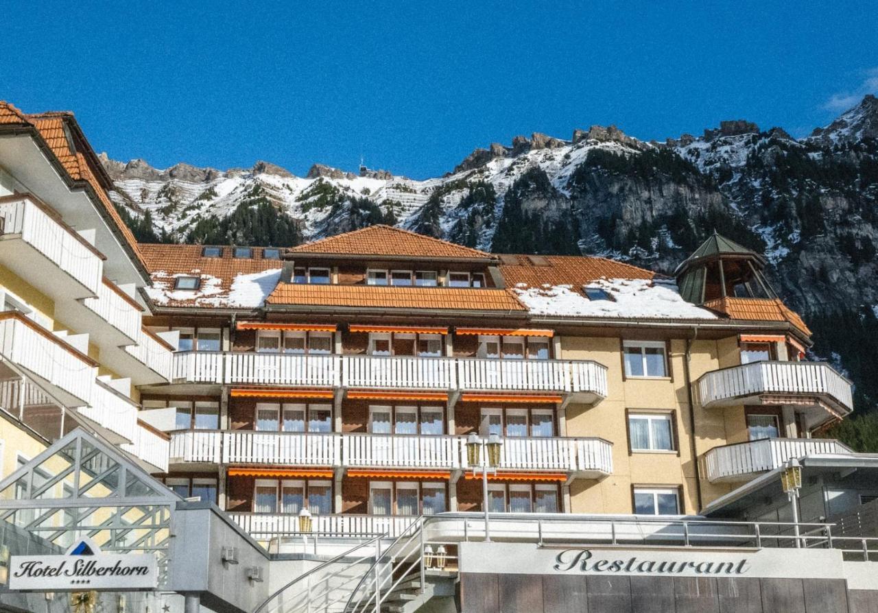 & Silberhorn Aparthotel 4*