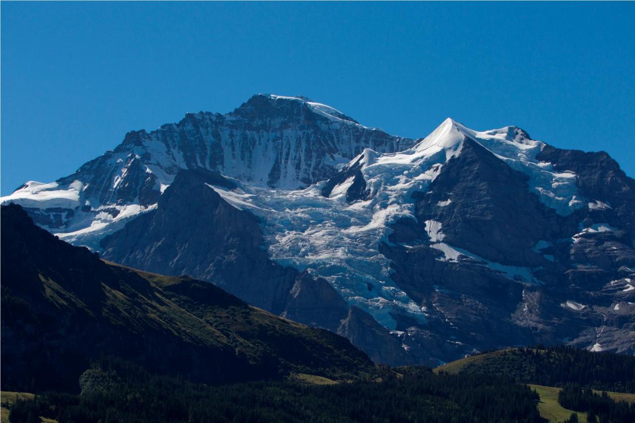 & Silberhorn Aparthotel 4*